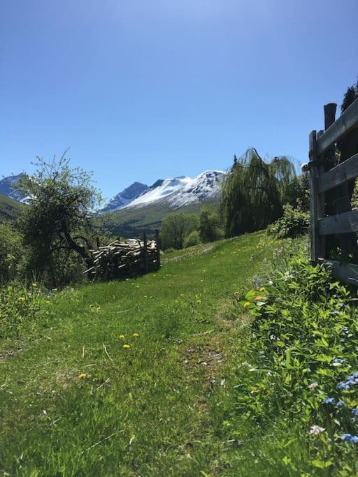 Moonvalley Lodge - Stort & Koselig Hus - Mandalen Exteriér fotografie